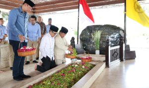 WhatsApp Image 2023-12-17 at 15.08.52