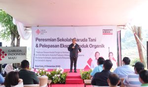 WhatsApp Image 2023-12-22 at 13.50.35