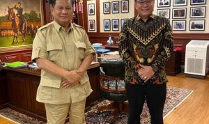 WhatsApp Image 2024-01-01 at 12.53.08