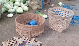 WhatsApp Image 2024-01-16 at 11.23.52 (1)