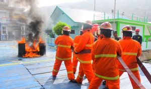 WhatsApp Image 2024-01-24 at 19.40.25