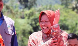 WhatsApp Image 2024-01-25 at 18.02.39