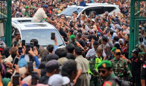 WhatsApp Image 2024-01-30 at 17.57.33