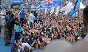 WhatsApp Image 2024-02-01 at 17.26.24