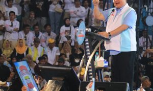 WhatsApp Image 2024-02-02 at 17.49.55 (1)