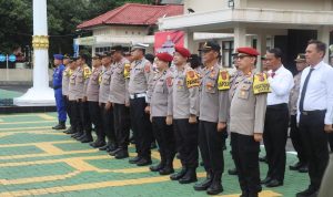 WhatsApp Image 2024-02-06 at 13.50.18 (1)