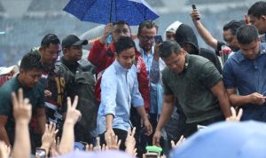 WhatsApp Image 2024-02-09 at 13.27.17