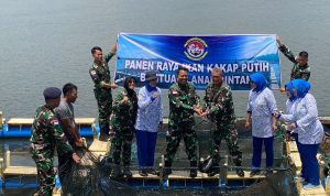 WhatsApp Image 2024-03-06 at 15.11.31