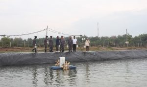 WhatsApp Image 2024-03-07 at 20.18.38 (1)