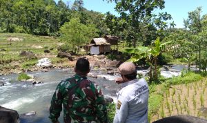 WhatsApp Image 2024-03-19 at 14.39.17 (1)