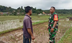 WhatsApp Image 2024-03-25 at 13.14.03