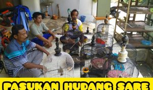 WhatsApp Image 2024-03-30 at 1.43.19 PM