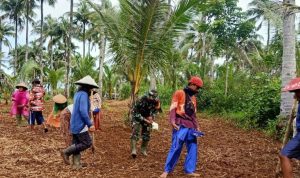 WhatsApp Image 2024-04-02 at 8.50.22 AM (1)