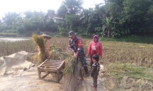 WhatsApp Image 2024-05-08 at 12.19.27