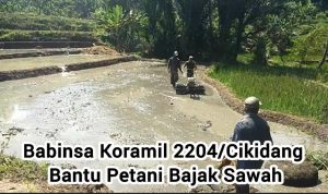 WhatsApp Image 2024-05-09 at 18.11.48