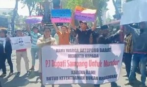 WhatsApp Image 2024-05-16 at 20.39.54