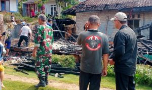 WhatsApp Image 2024-06-29 at 08.18.20