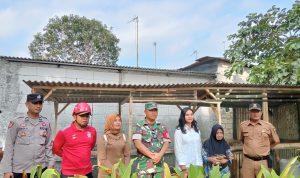 WhatsApp Image 2024-07-15 at 15.55.34 (3)