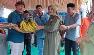 WhatsApp Image 2024-07-17 at 12.21.03