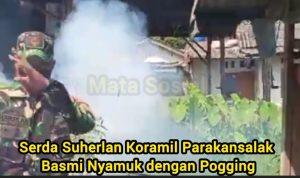 WhatsApp Image 2024-07-18 at 15.18.54 (1)