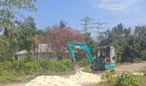 WhatsApp Image 2024-08-23 at 07.45.41 (1)