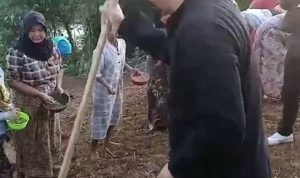 WhatsApp Image 2024-10-19 at 07.18.35 (1)