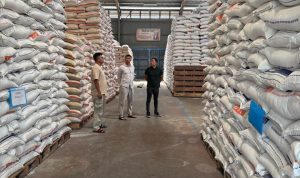 WhatsApp Image 2025-03-01 at 14.25.08