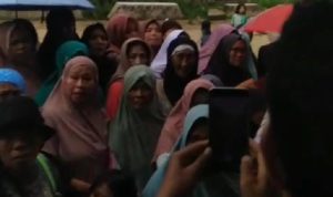 WhatsApp Image 2025-03-09 at 22.12.28