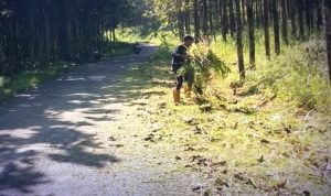 bahu jalan sagaranten