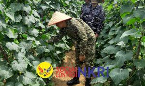 WhatsApp Image 2025-10-30 at 07.08.50