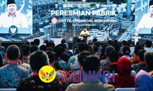 WhatsApp Image 2025-11-08 at 12.37.19