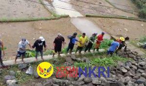 WhatsApp Image 2025-11-09 at 22.35.34