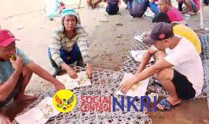 WhatsApp Image 2025-11-09 at 22.45.46