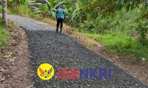 WhatsApp Image 2025-11-11 at 10.39.05