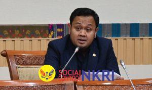 WhatsApp Image 2025-11-14 at 10.29.10