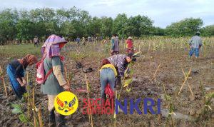 WhatsApp Image 2025-11-15 at 08.07.39