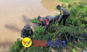 Posbinpotmar Bengkulu Tengah Bersinergi Dengan Koramil dan Polsek Pondok Kelapa Tanam Mangrove