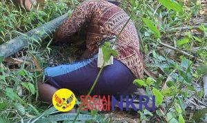 WhatsApp Image 2026-03-23 at 18.09.08