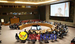 WhatsApp Image 2026-04-01 at 19.24.34