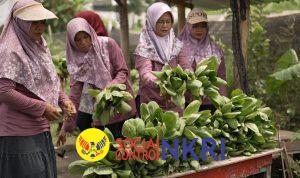 WhatsApp Image 2026-04-03 at 13.53.23 (1)