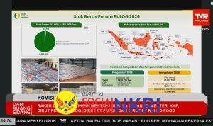 WhatsApp Image 2026-04-07 at 18.15.17