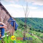 Wall Street of Happiness: Sukabumi Mubarokah Menempa Alam Jadi Saham Surgawi