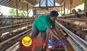 WhatsApp Image 2026-04-24 at 19.57.45