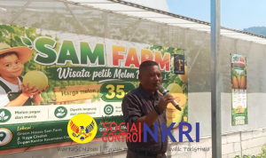 Wisata Petik Melon di Cisolok Resmi Dibuka, Dorong Pertanian Terintegrasi dan Ekonomi Lokal