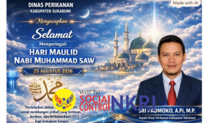 image (28)